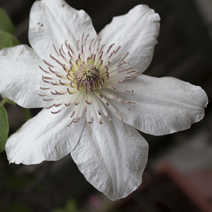 A! KA7_1453 als Smartobjekt-1 Kopie.jpg